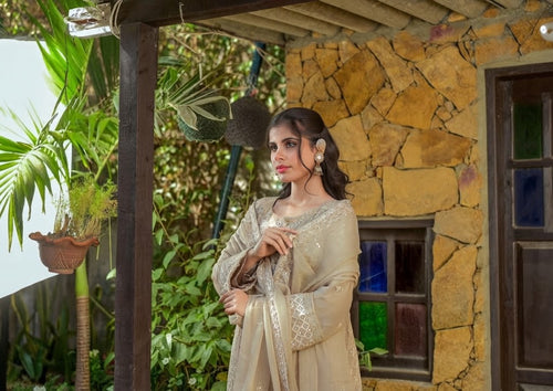 Chiffon long frock