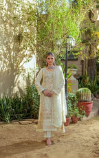 Royal Embroidered Chiffon Long Frock Ensemble