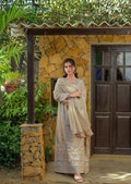 Chiffon long frock